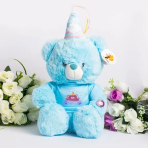 Teddy Bear With Music