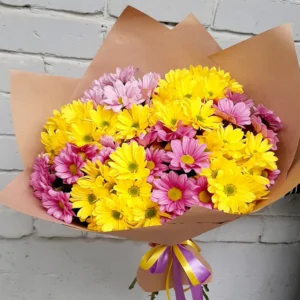 11 Yellow and Pink Chrysanthemums