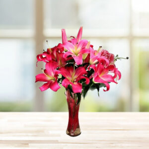Dark Pink Oriental Lily