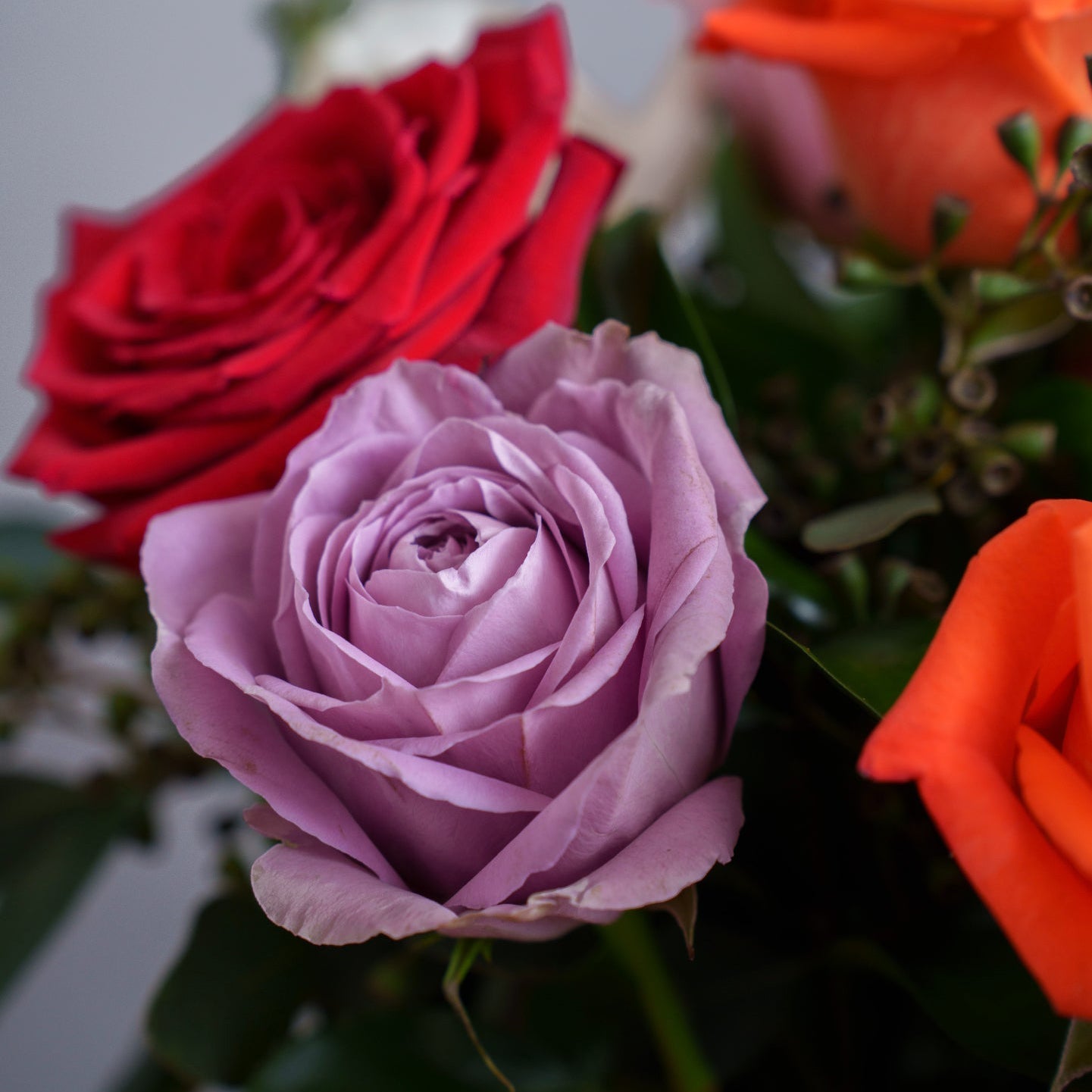 Mixed Color Roses - Image 4
