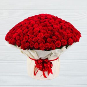 Ravishing 500 Red Roses