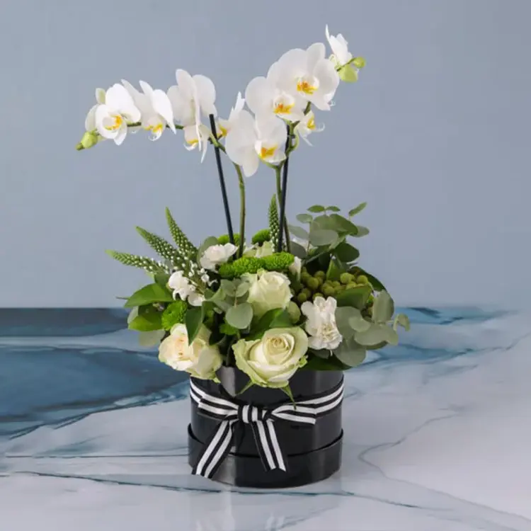 Thought Plants and Flowers in Box - Image 2