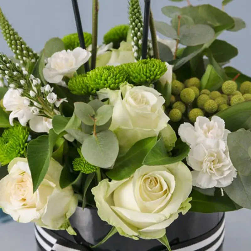 Thought Plants and Flowers in Box - Image 3