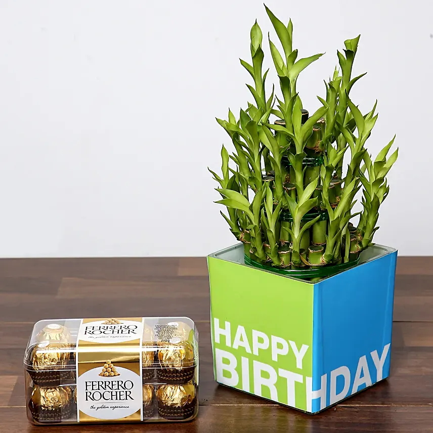 3 Layer Bamboo Plant and Chocolates For Birthday