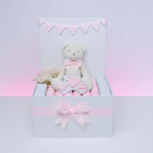 Baby girl teddy decorated chocolate extra large hamper