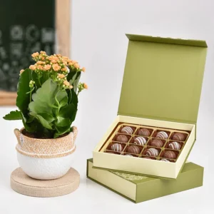 Kalanchoe Plant And Chocolates Combo