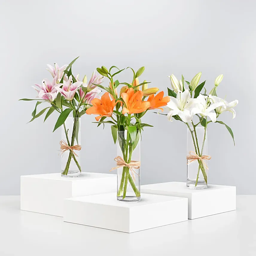 Lilies Beauty Trio