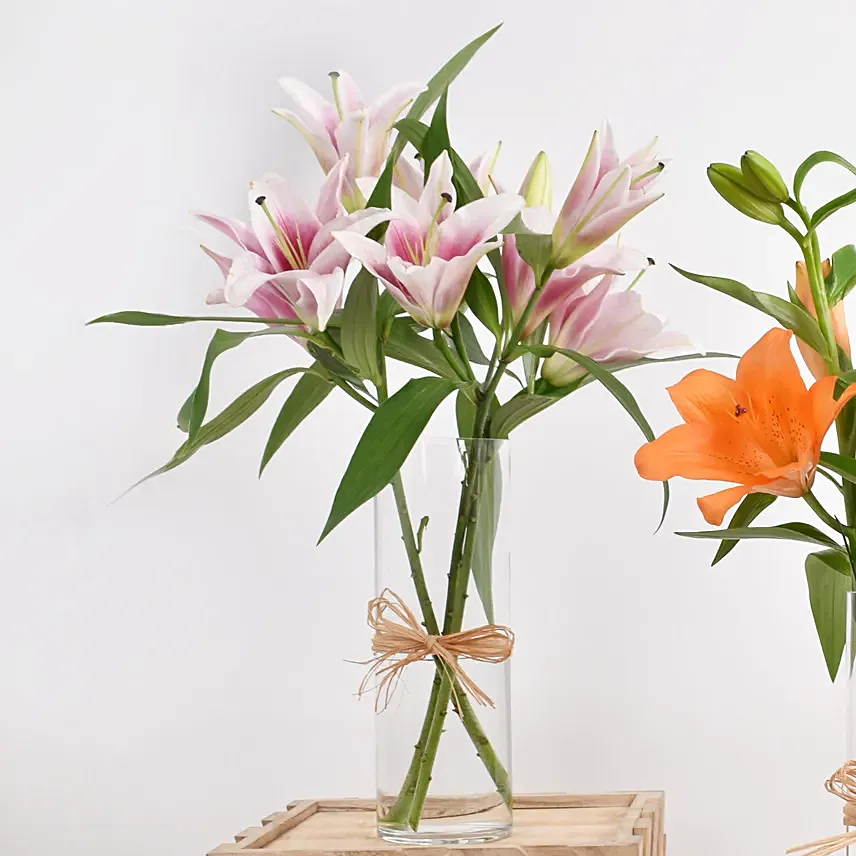 Lilies Beauty Trio - Image 3