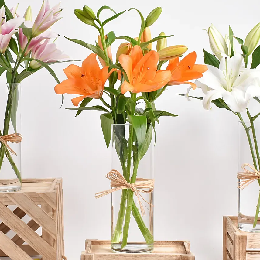 Lilies Beauty Trio - Image 4